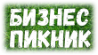 БИЗНЕС-ПИКНИК