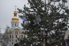 Рождественские богослужения в Шпаковском районе