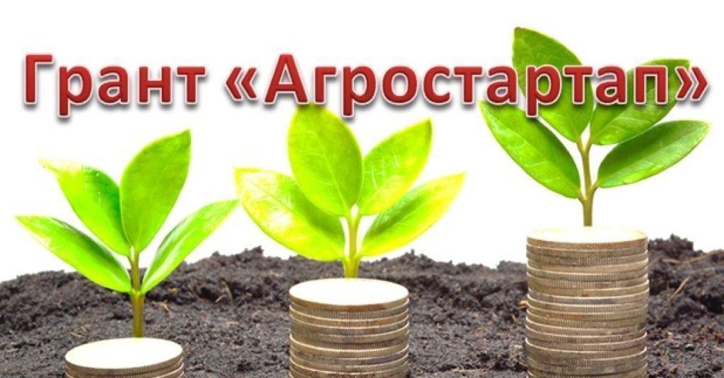 Агростартап