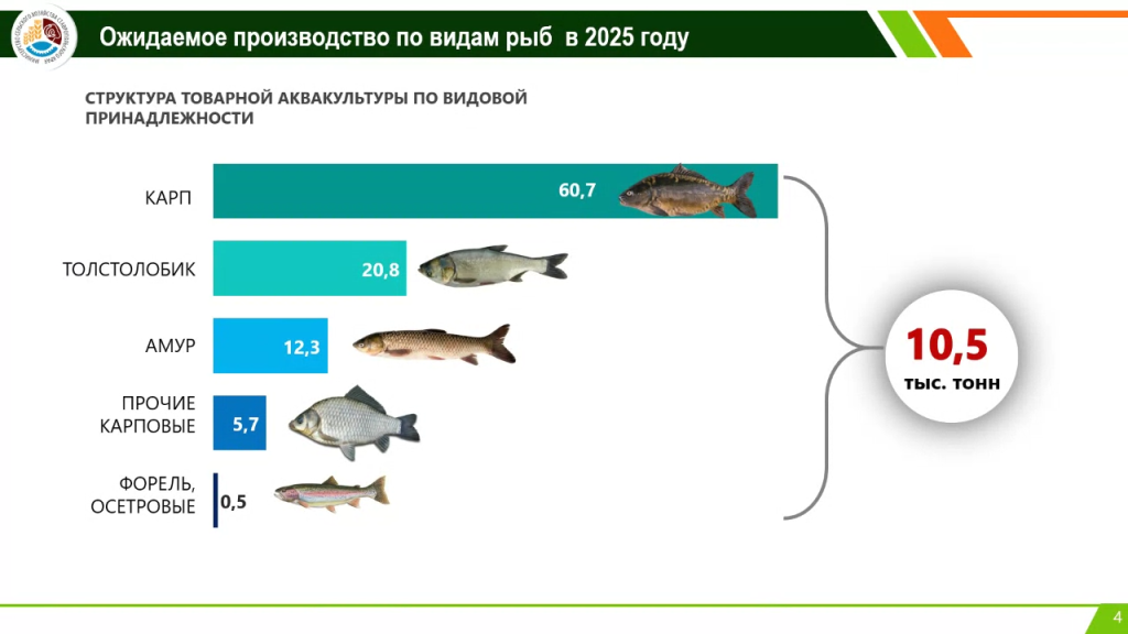 Ожидаемое производство по видам рыб в 2025 году.png