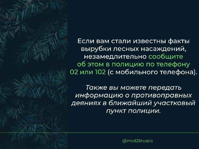 1000140077.jpg