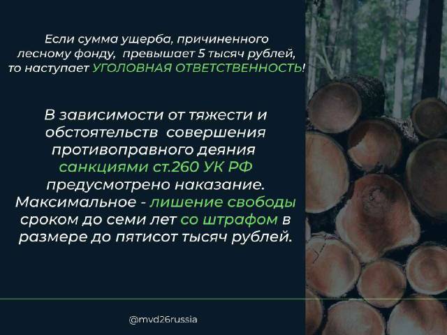 1000140079.jpg