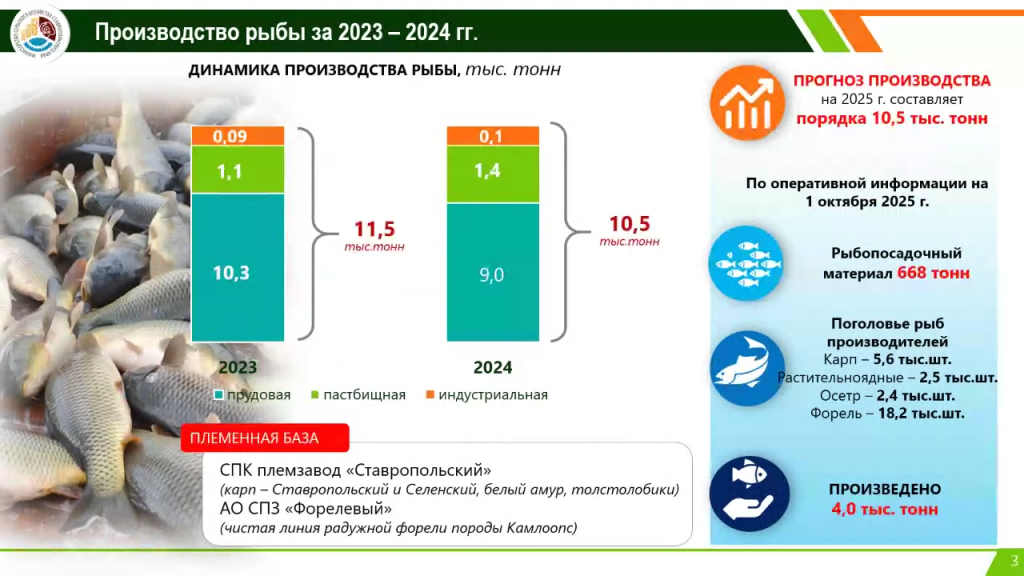 Производство рыбы за 2023-2024.png