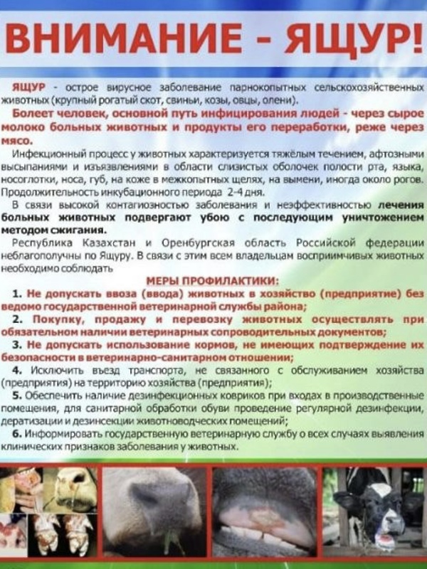 памятка по ящуру.jpg