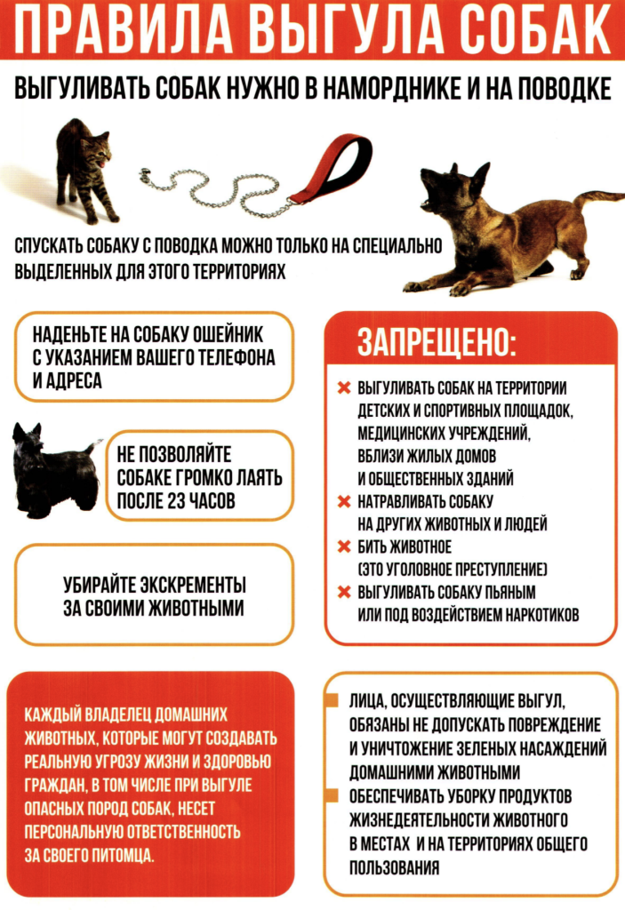 Правила выгула собак.png