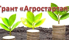Агростартап