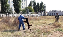 Определились лучшие кинологи Северо-Кавказского округа Росгвардии
