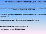 О бюджете Шпаковского муниципального округа Ставропольского края на 2021 год и плановый период 2022 и 2023 годов