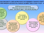 Исполнение бюджета Шпаковского муниципального округа Ставропольского края за 2021 год