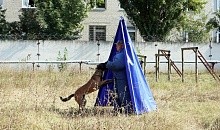 Определились лучшие кинологи Северо-Кавказского округа Росгвардии