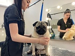 Социальный контракт