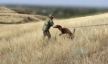 Определились лучшие кинологи Северо-Кавказского округа Росгвардии