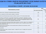Исполнение бюджета Шпаковского муниципального округа Ставропольского края за 2021 год