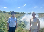 Пресечение незаконного культивирования наркосодержащих растений