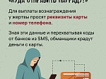 Как мошенники крадут деньги под видом предвыборных опросов