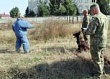 Определились лучшие кинологи Северо-Кавказского округа Росгвардии Определились лучшие кинологи Северо-Кавказского округа Росгвардии