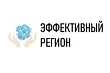 Эффективный регион Эффективный регион