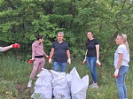 В рамках ежегодной краевой экологической акции сотрудники РРЦ и РИАЦ приняли участие в субботнике