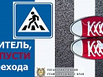 Информационные материалы УГИБДД ГУМВД России по Ставропольскому краю по безопасности дорожного движения